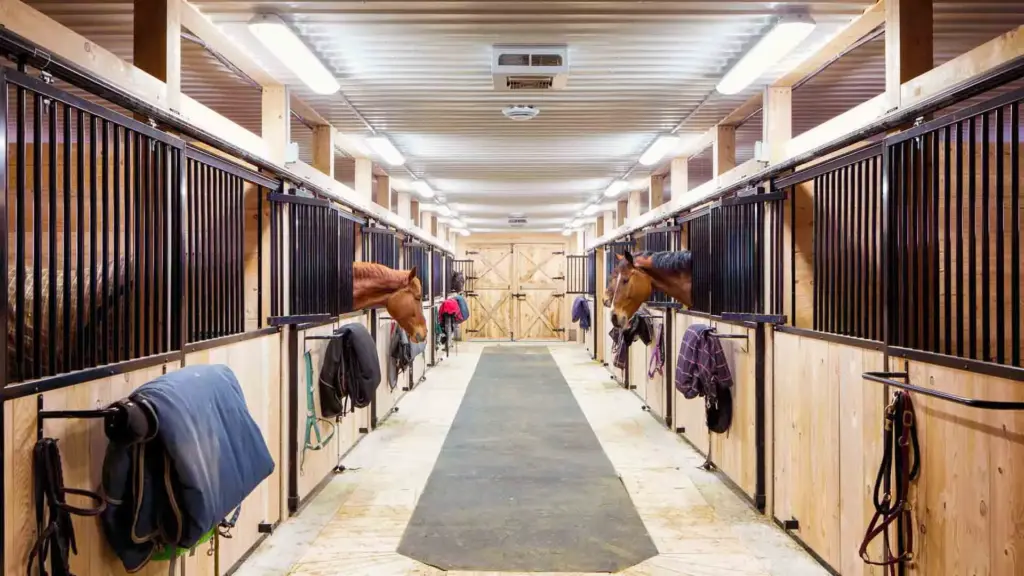 Тваринництво